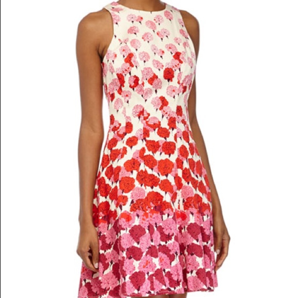 Maggy London Floral Print Fit And Glare Dress